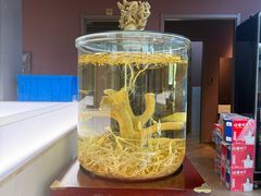 -巧婆婆特色东北菜·铁锅炖