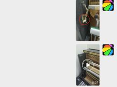 -柏斯音乐艺术中心·钢琴·吉他(上音店)