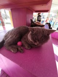 -萌宠亲子动物乐园(槐房万达店)