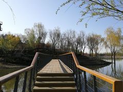 -东郊湿地公园