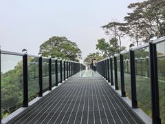 -黄埔油麻山森林公园