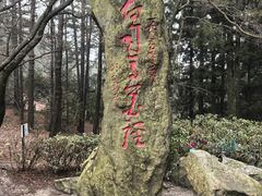 -庐山风景区花径公园