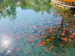 -水磨沟公园