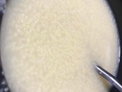 -黄金粥港式·早晚茶(海阳路店)