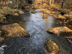-汤旺河林海奇石景区