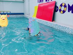 -小小王国亲子游泳俱乐部(锦辉中心)