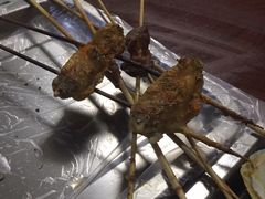 -老红桥炸灌肠牛肚锅烧烤(定福庄店)