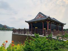 -顺峰山公园