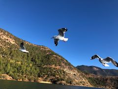-丽江泸沽湖景区