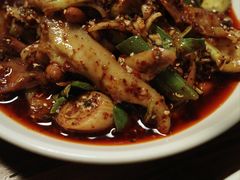 -中和裴氏蹄花(府河路店)