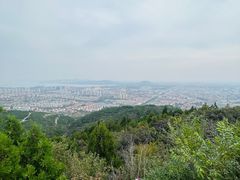 -府君山公园