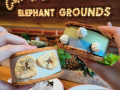 抹茶蝶豆腐花冰淇淋-大象园 ELEPHANT GROUNDS(广州太古汇店)