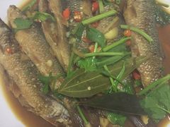 -悠悠美食