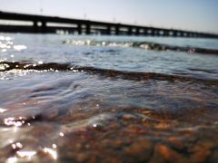-海堤纪念公园