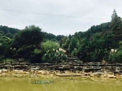 -铁山坪森林公园