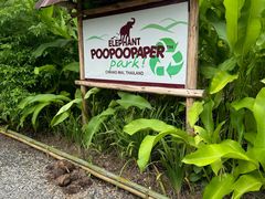 -大象粑粑造纸公园