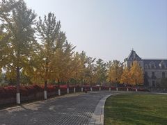 -北京张裕爱斐堡酒庄