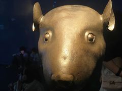 -广西壮族自治区博物馆