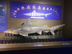 -成都浩海立方海洋公园