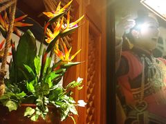 -云海肴·汽锅鸡·云南菜(天山百盛优客店)