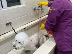 -暖阳宠物医院·犬猫康复中心·骨科