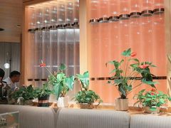 -云海肴云南菜(浦江欢乐颂店)