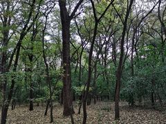 -廊坊市自然公园