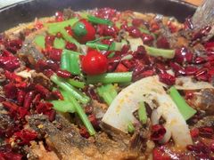 -老板恋上鱼(恒隆广场店)