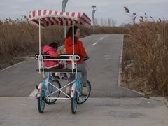 -盐城丹顶鹤湿地生态旅游区