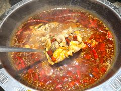 -销魂美蛙鱼头火锅(上海首店)