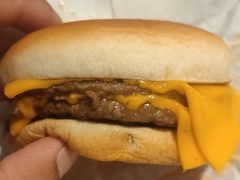 双吉-麦当劳(天津站三店)