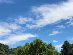 -长春市南湖公园