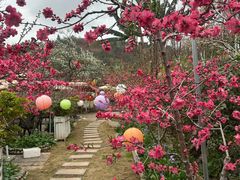 -桃源山庄·水蜜桃采摘·柴火鸡·烧烤团建(龙泉山店)