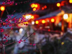 -林坑古村落