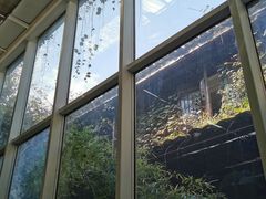 -院子餐厅·大锅菜·老杭帮(桥西直街店)