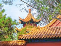 -戏马台景区