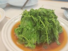 -海金滋(陕西南路店)