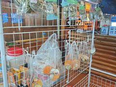 -蓝湾碧波·老字号·疍家非遗海上餐厅