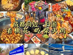 -桃源山庄·水蜜桃采摘·柴火鸡·烧烤团建(龙泉山店)