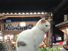 -龙姐私房菜(和顺古镇店)