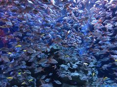 -成都浩海立方海洋公园