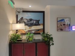 -咪咪比基尼脱毛专业店