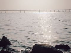 -宝安西湾红树林湿地公园