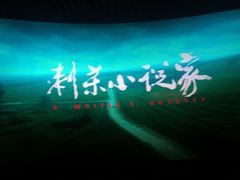 -金逸影城(光美江宁IMAX店)