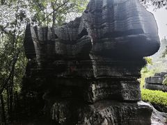 -梭布垭石林景区