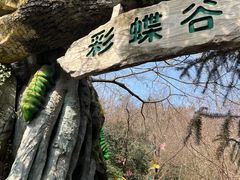 -天目湖山水园
