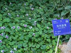 -国家植物园南园