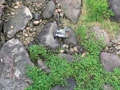 -无锡动物园·太湖欢乐园
