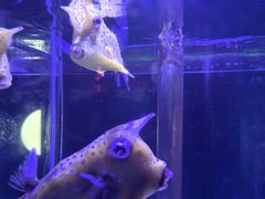 -太平洋海底世界