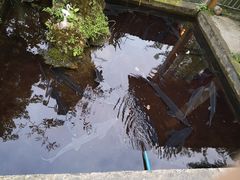 -源泉冷水鱼庄(小鱼洞店)